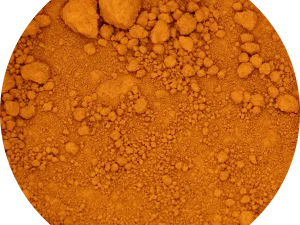 Marigold